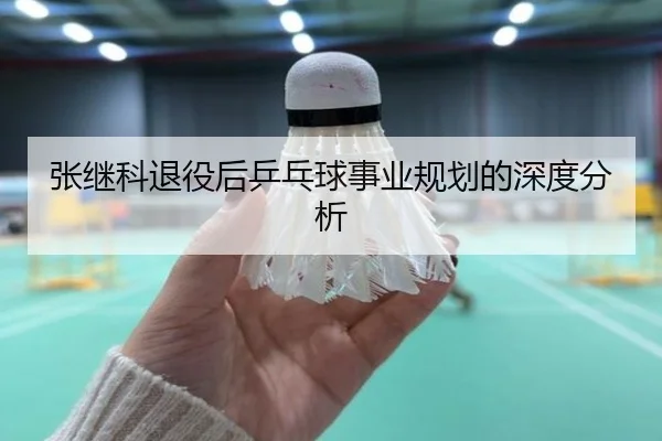 张继科退役后乒乓球事业规划的深度分析