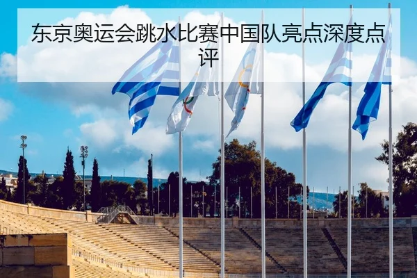 东京奥运会跳水比赛中国队亮点深度点评
