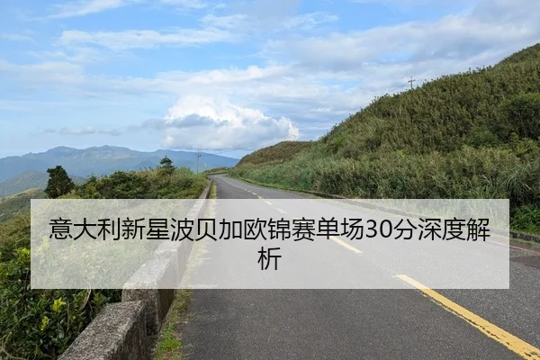 意大利新星波贝加欧锦赛单场30分深度解析